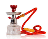 HOOKHA MYA BACCI